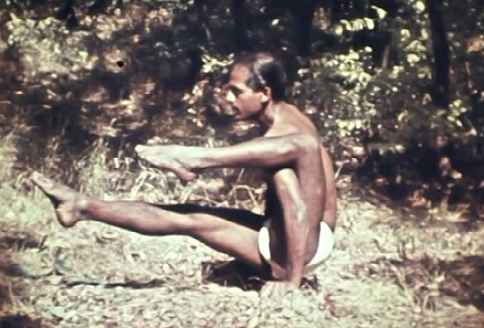 Selvarajan Yesudian Yoga im Wald